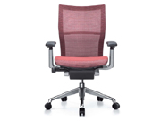 Mesh Medium Back Chair